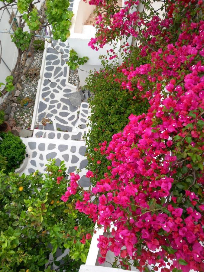 Studio In Garden Poros Town Екстериор снимка