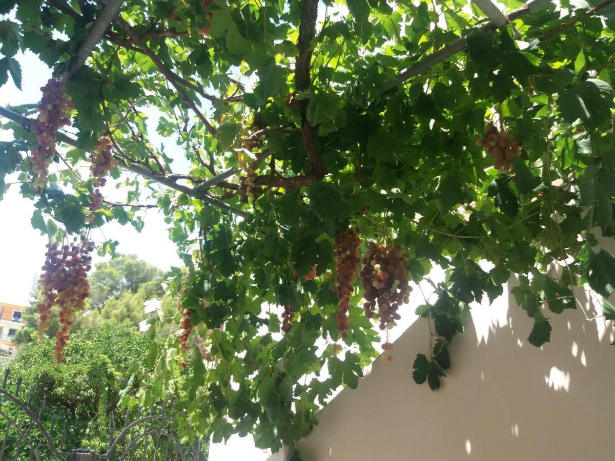 Studio In Garden Poros Town Екстериор снимка